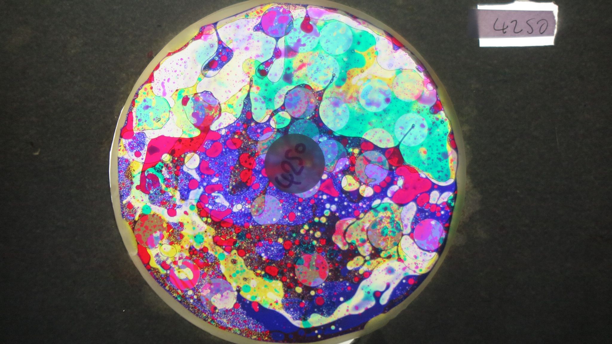 BV4250 bubble vision oil wheel